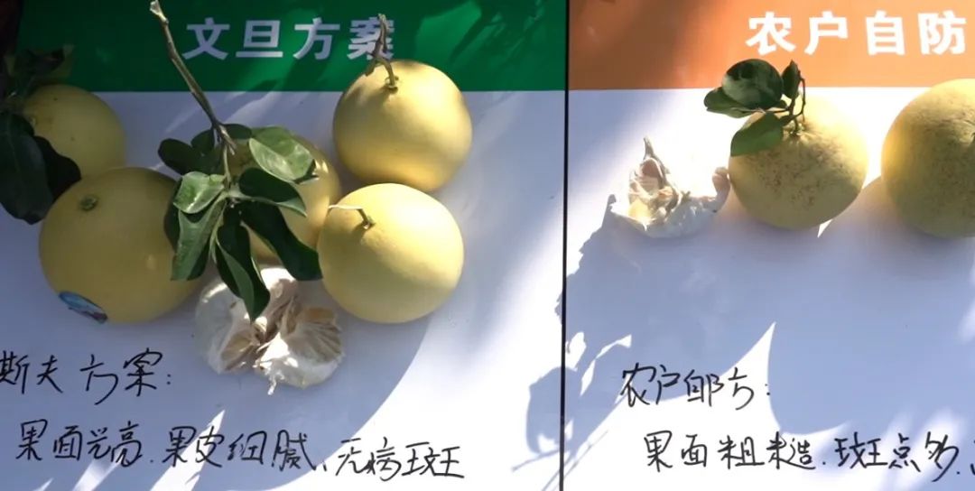 1675663453131698.jpg 640 (23).jpg