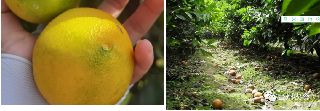 1675666630914640.png 640 (55).png